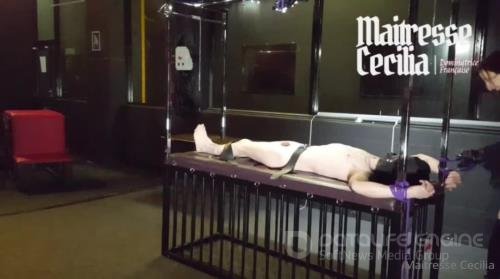 Maitresse Cecilia - Now I Am Going To Destroy The Masculinity Left - SD 640p