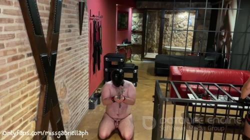 Missgabriellaph - Teased And Humiliated And Whipped And Back To Your Cage - FullHD 1080p
