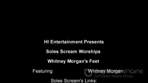 Soles Scream Experience - Whitney Morgans Feet Worshipped - SD 606p